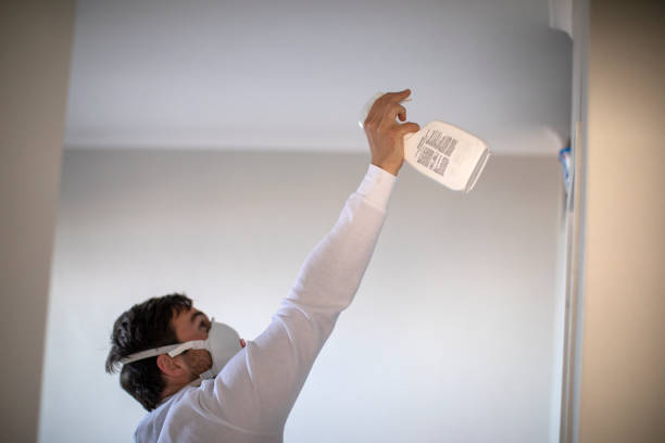 Best Mold Remediation  in Windsor, VA